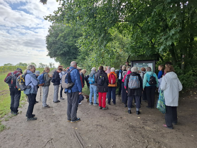 Exkurze kurzu Příroda Muzejní akademie na Pálavu