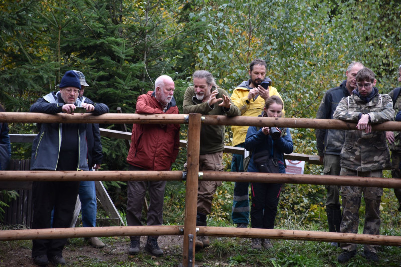 14_Stříbrná Jihlava 2025