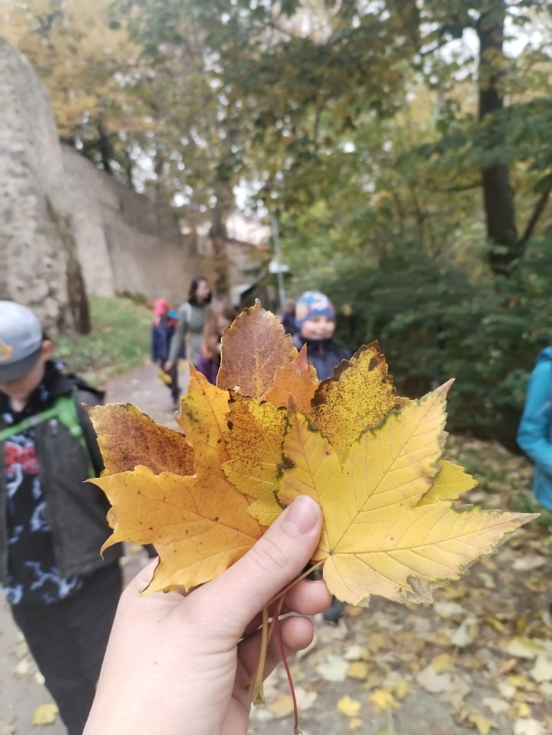 6_Přírodovědný kroužek