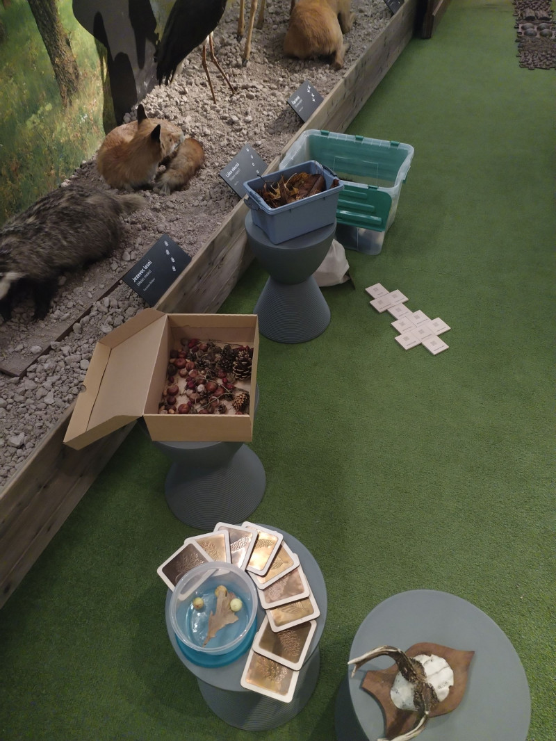 Život trochu jinak v muzeu