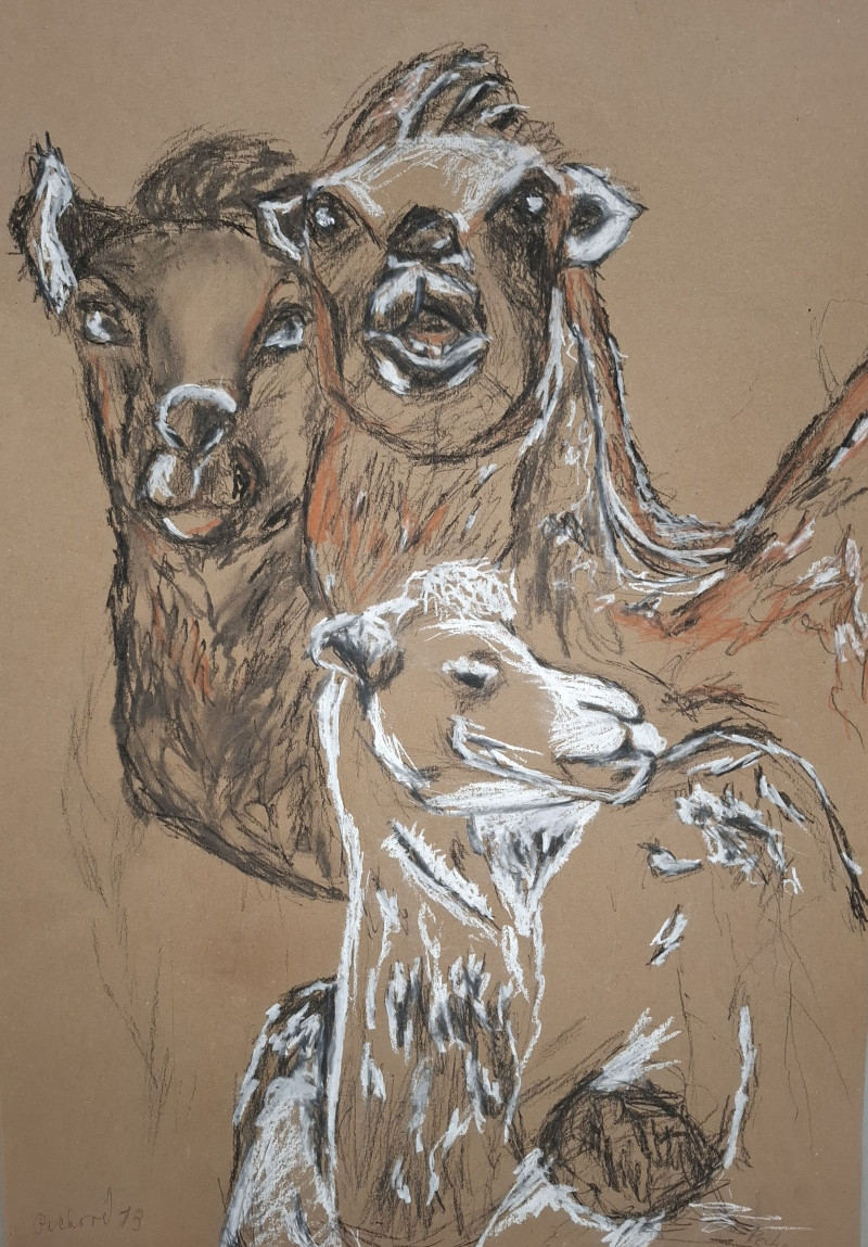 2. místo 11-14 let - Filip Běhan (14 let), ZŠ Demlova Jihlava: Nebezpečná krása