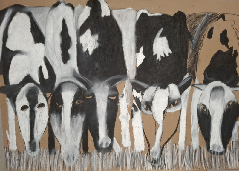 3. místo 11-14 let - Karin Kotková (14 let), ZUŠ G. Mahlera Humpolec: V minizoo